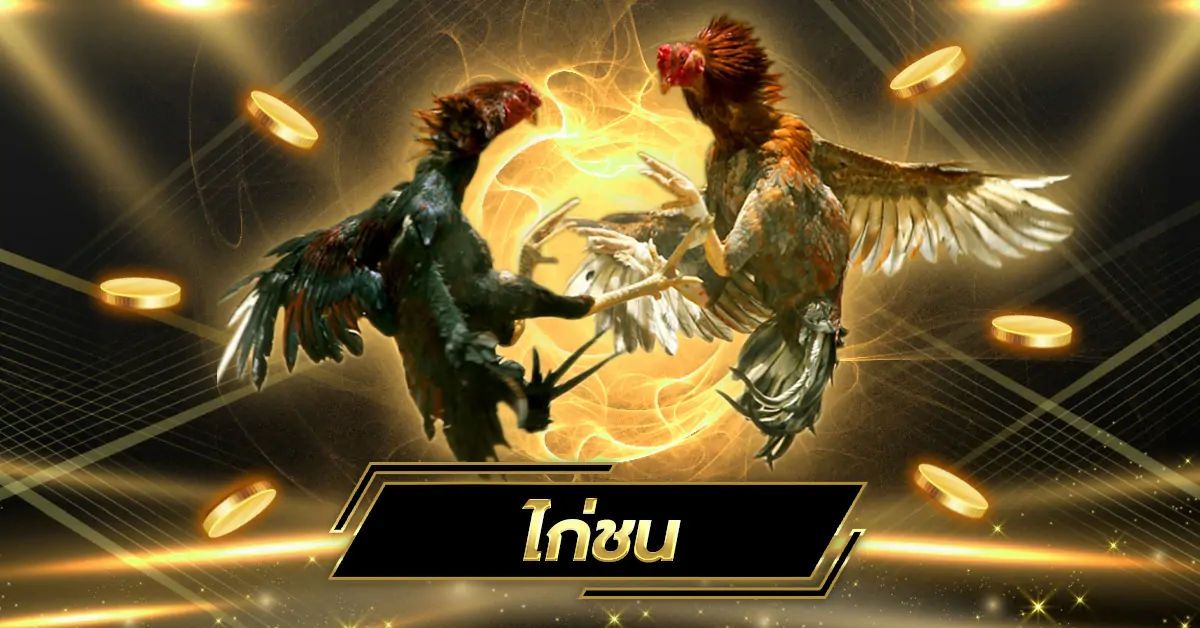 ไก่ชน เกมพนันพื้นบ้านที่ได้รับความนิยมในหลายประเทศทั่วเอเชีย